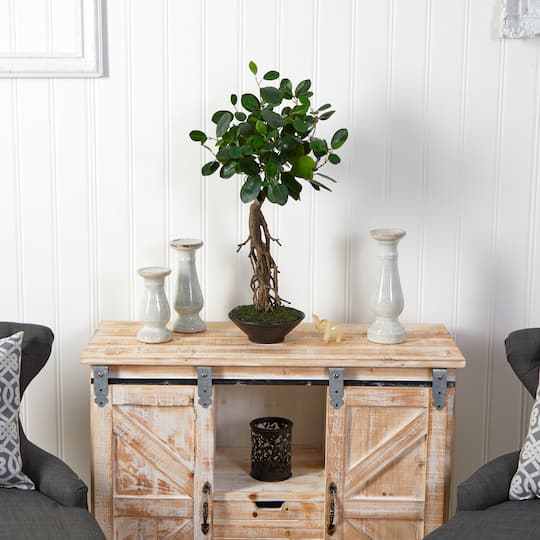 2ft. Ficus Bonsai Artificial Tree in Decorative Planter